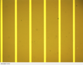 Micrograph of parallel directly patterned conductive lines