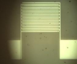Micrograph of an interdigitated embedded circuit